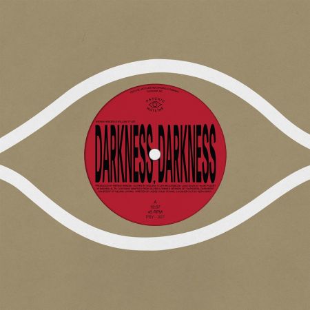 Four Tet &amp; William Tyler - Darkness, Darkness / No Services (Single) (2023)Official Digital Download