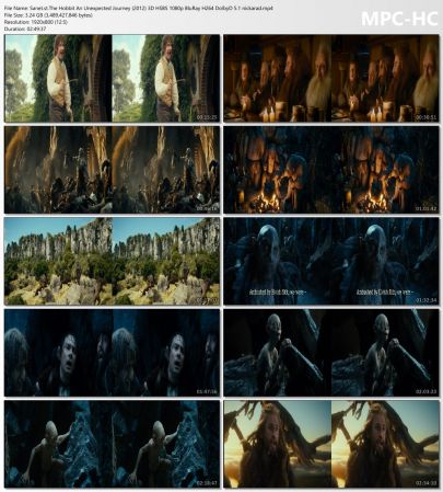 The Hobbit An Unexpected Journey 2012 3D HSBS 1080p BluRay H264 DolbyD 5.1 nickarad