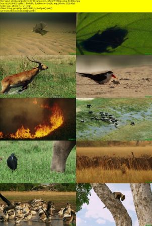 Okavango River Of Dreams 2020 1080p WEBRip x264-RARBG