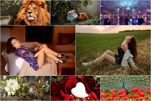 Mixed Beautiful Wallpapers Pack 1663