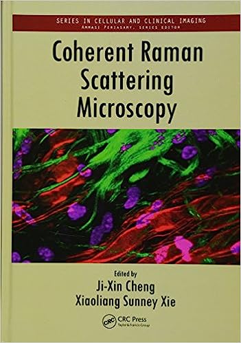 Coherent Raman Scattering Microscopy