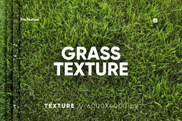 30 Grass Texture HQ - 27124263