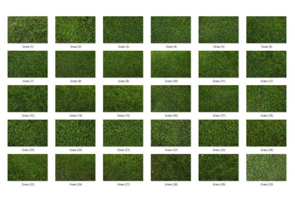 30 Grass Texture HQ - 27124263