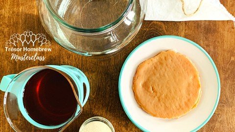 Trésor Kombucha Homebrew Masterclass