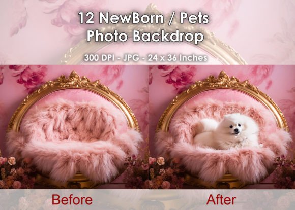 12 Newborn / Pets Beautiful Backdrop JPG