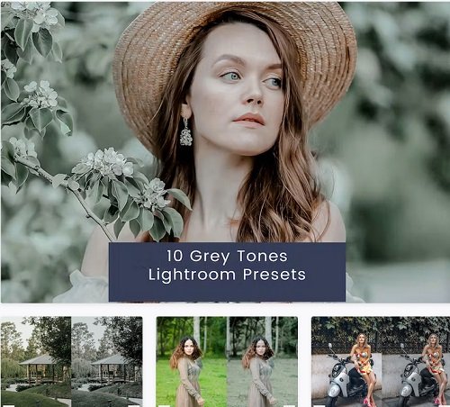 10 Grey Tones Lightroom Presets - G553ULW