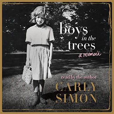 Boys in the Trees: A Memoir (Audiobook)