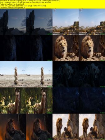 The Lion King 2019 3D HSBS 1080p BluRay H264 DolbyD 5.1 nickarad