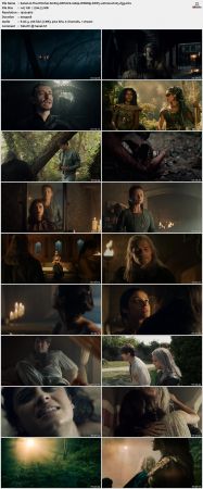 The Witcher S01-S03 1080p WEBRip DDP5.1 Atmos H265-d3g