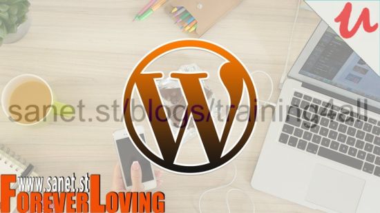 WordPress Essential Training for Building Websites