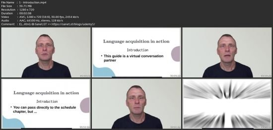 Language Flux, How To Harness A New Language