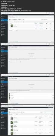 WordPress Essential Training for Building Websites