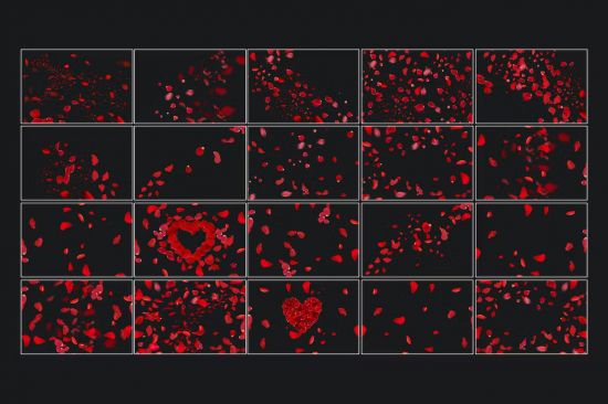 Rose Petals Overlays - MH8JE7R