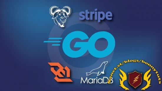 Building Web Applications with Go - Intermediate Level