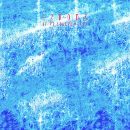 12 Rods - If We Stayed Alive (2023) (Hi-Res) FLAC/MP3