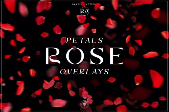 Rose Petals Overlays - MH8JE7R
