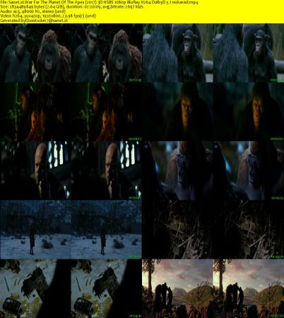War For The Planet Of The Apes 2017 3D HSBS 1080p BluRay H264 DolbyD 5.1 nickarad