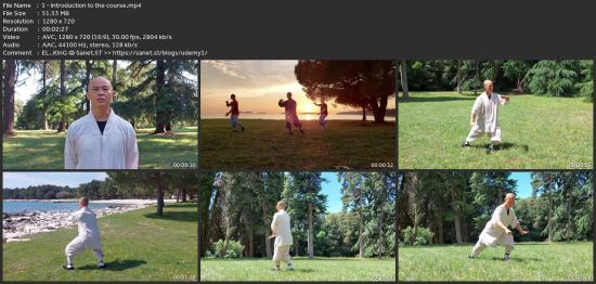 Learn Tai Chi 24 Step With Master Wang