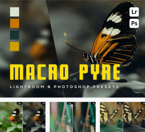 6 Macro Pyre Lightroom and Photoshop Presets - 46543010