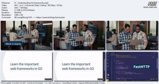 Choose Your Go Framework: Chi Router, FastHTTP, Fiber, Echo, Gin Gonic, Go Kratos