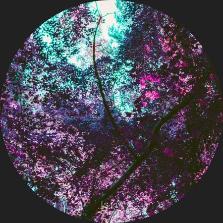 Healing Noises - More Soul Than Human (2019)Official Digital Download