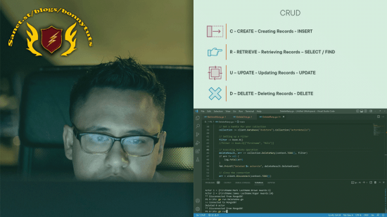 Accessing Non-relational Databases in Go