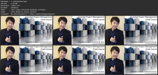 Essential Project Management Crash Course