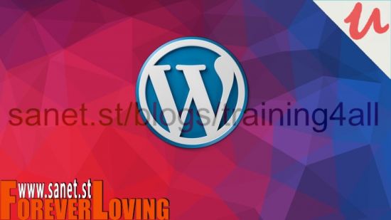 12 Steps to build your own Website with WordPress
