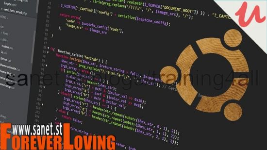 Web Development Environment in Ubuntu 18.04 VM on Windows