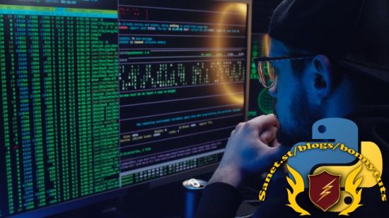 Codewise: Python Programming course
