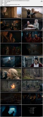 The Witcher S01-S03 1080p WEBRip DDP5.1 Atmos H265-d3g