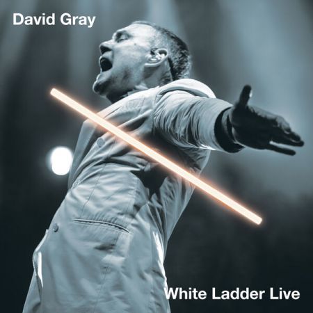 David Gray - White Ladder Live (2023) (Hi-Res) FLAC/MP3