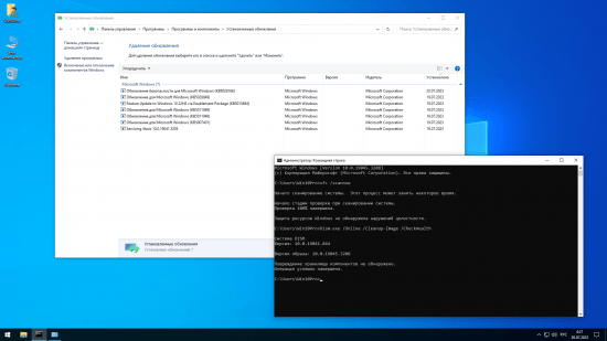Windows 10 Pro 22H2 Build 19045.3208 by SanLexLightweight x64 Eng/Rus July 2023
