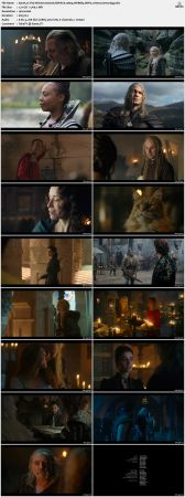 The Witcher S01-S03 1080p WEBRip DDP5.1 Atmos H265-d3g