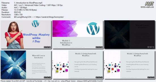 WordPress Mastery within 1 Day
