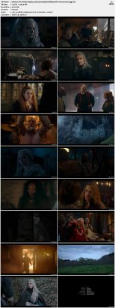 The Witcher S01-S03 1080p WEBRip DDP5.1 Atmos H265-d3g