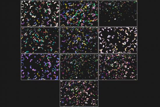 Colourful Foil Confetti Overlays - 2TRMDFN