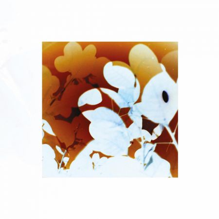 James Murray - Soundflowers (2023)Official Digital Download 24/48