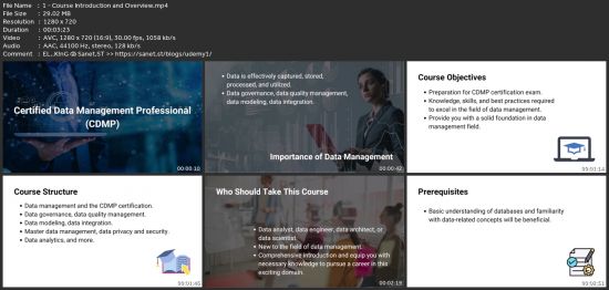 Certified Data Management Professional (Cdmp) Essentials