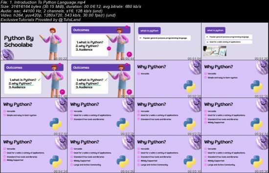 Python Mastery: A Comprehensive Course for Beginners