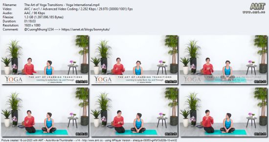 Yoga International - The Art of Yoga Transitions