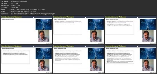 Artificial Intelligence (Ai) Implementation In Organizations