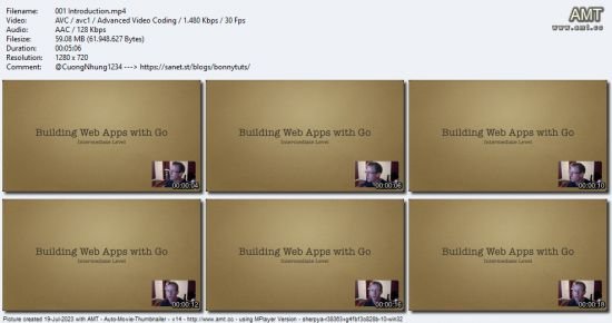 Building Web Applications with Go - Intermediate Level