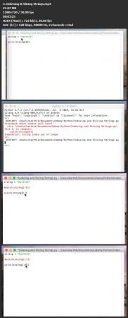 The Ultimate Python Basics - Bootcamp