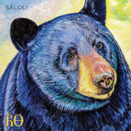 Saloli - Canyon (2023)Official Digital Download