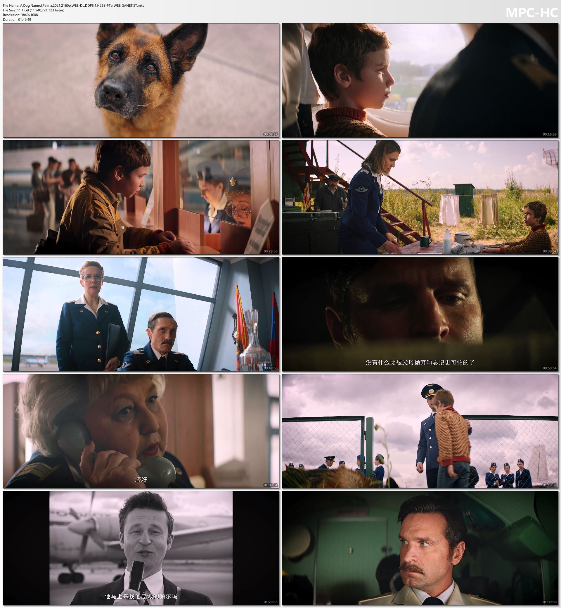 A Dog Named Palma 2021 2160p WEB DL DDP5 1 H265 PTerWEB SoftArchive a-dog-named-palma-2021-2160p-web-dl-ddp5-1-h265-pterweb-softarchive