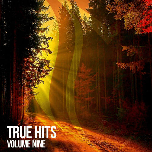 VA - True Hits Vol.9 (2023)