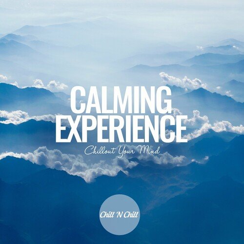 VA - Calming Experience Chillout Your Mind (2023)