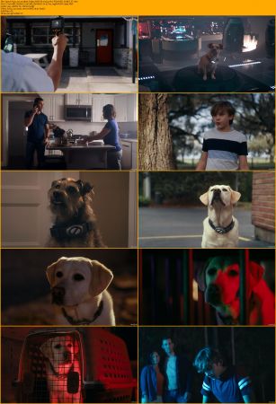Space Pups 2023 1080p Friday WEB-DL H264 AAC-PTerWEB