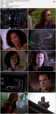 The Sentinel 1996 S03 DVDRip HEVC 10bit H265 PHOCiS